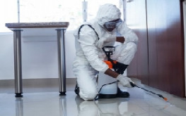 Pest Control